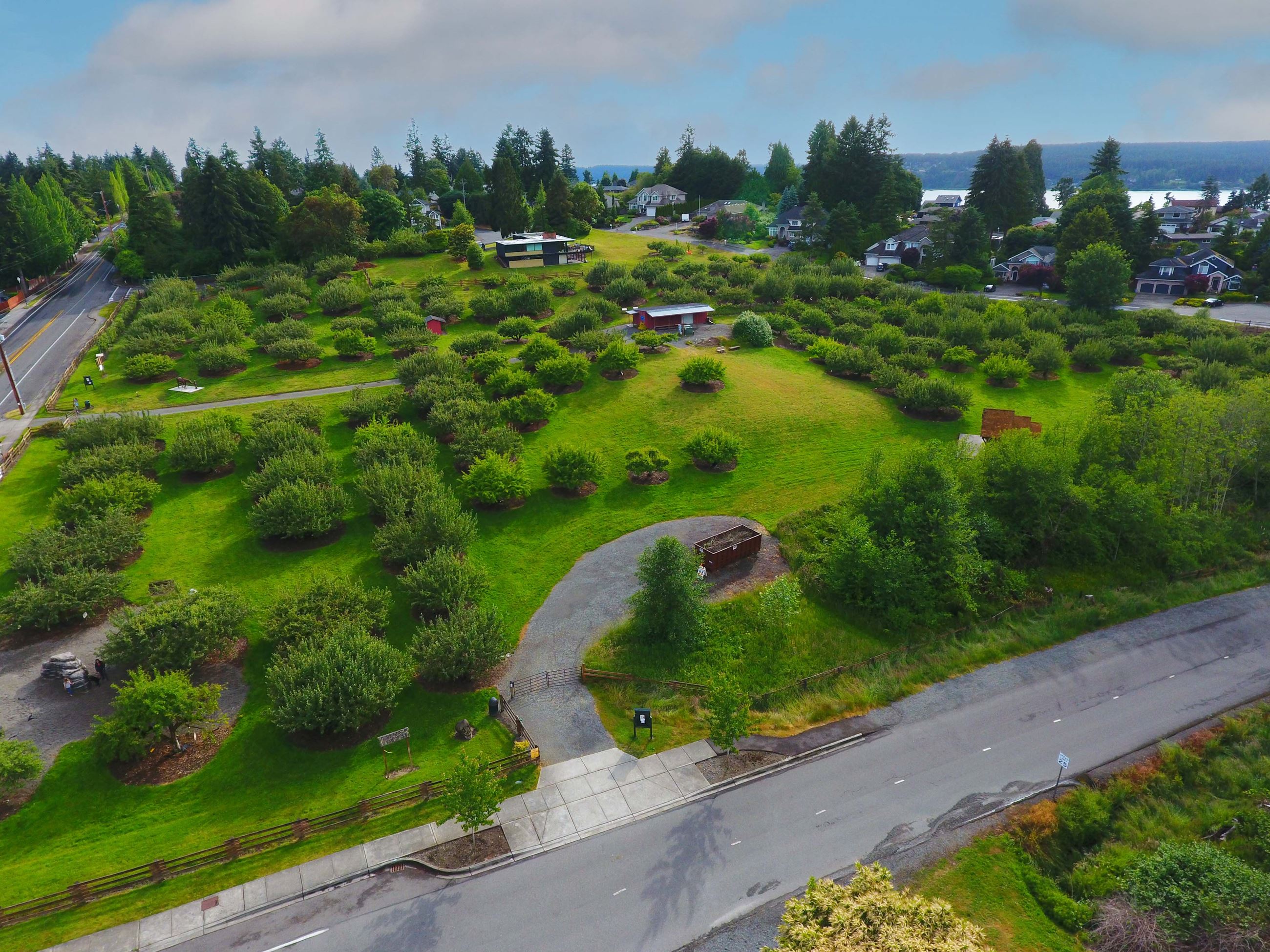 Curran Apple Orchard on a cornflower blue sky day as seen from a drone