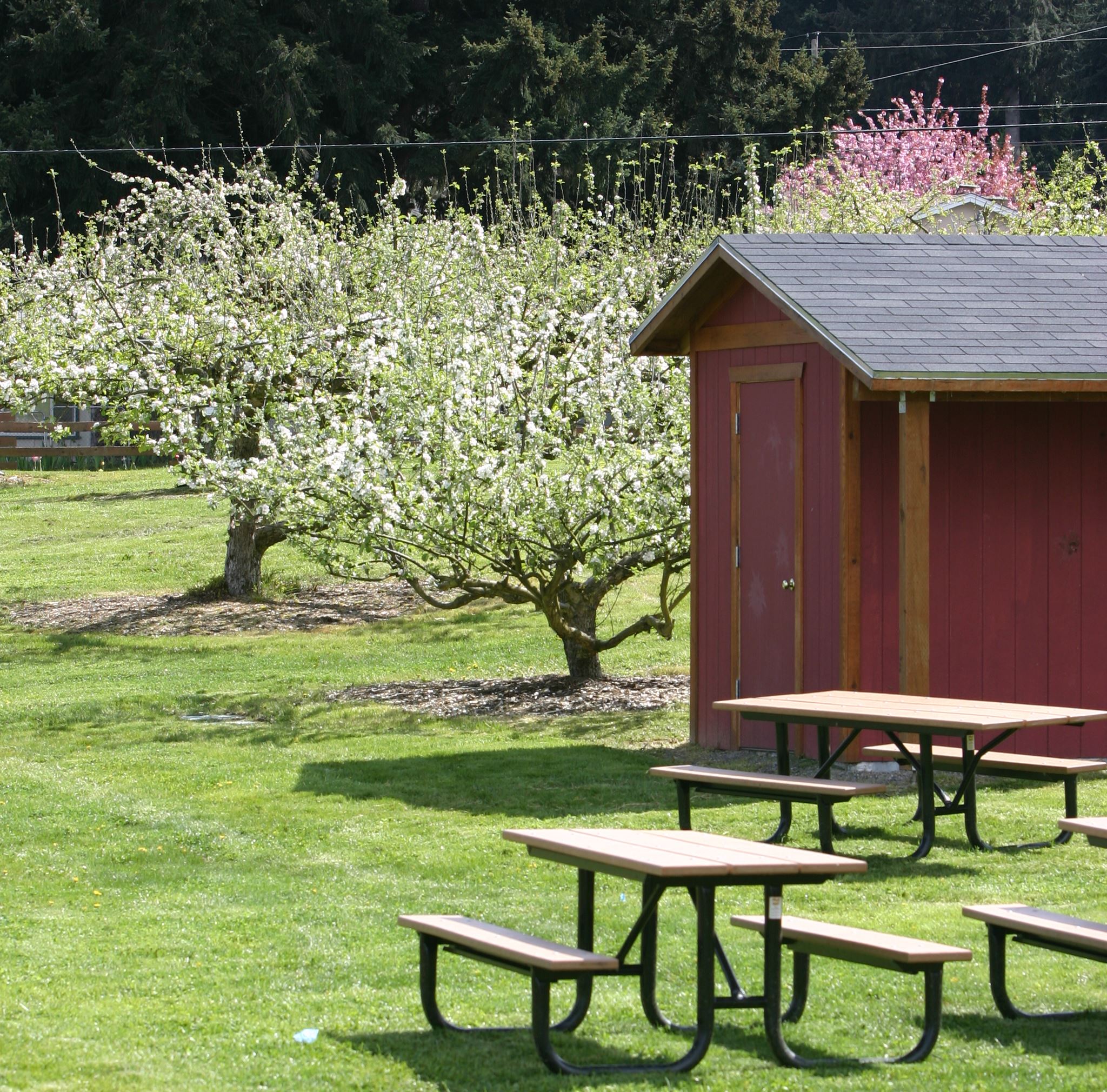 A red shed next to some trees and picnic benches Opens in new window