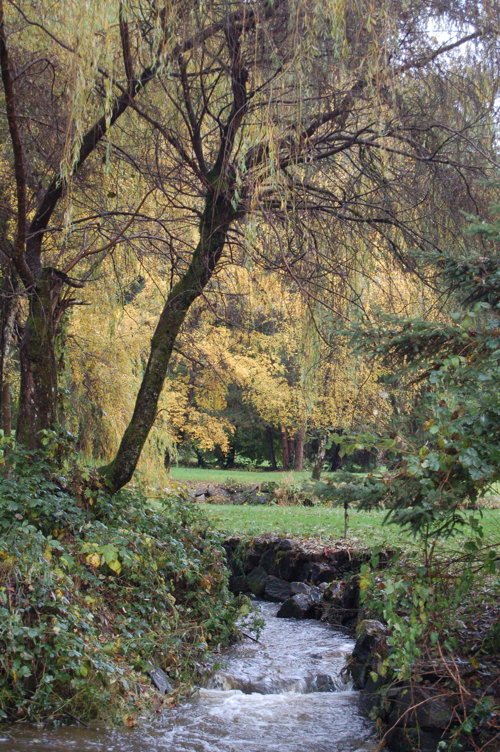 A river running near a grassy area Opens in new window